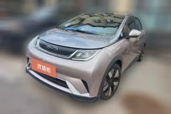 2022 BYD Dolphin 2021 401km knightEdition #1