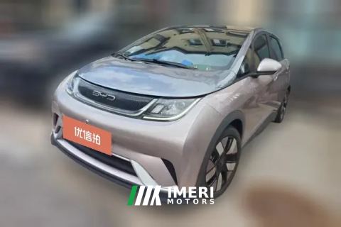 2022 BYD Dolphin 2021 401km knightEdition