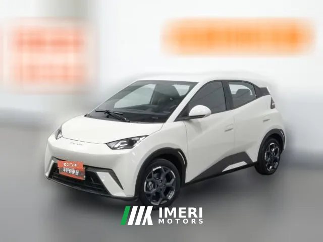 2024 BYD Seagull 2025 305km freeEdition