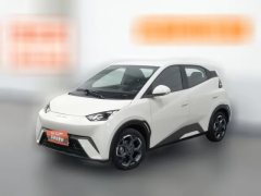 2024 BYD Seagull 2025 305km freeEdition #1