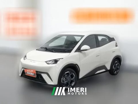 2024 BYD Seagull 2025 305km freeEdition