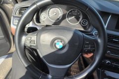 2017 BMW 5 Series 2017 2.0T AT 525LiLeading #15