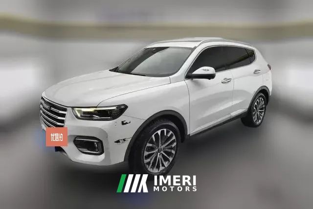 2020 Haval H6 2020 2.0T AT PlatinumLuxury