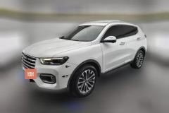 2020 Haval H6 2020 2.0T AT PlatinumLuxury #1
