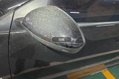 Left Exterior Mirror