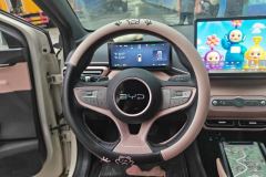 2025 BYD Seagull 2025 Smart Drive 305km freeEdition #15