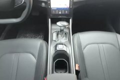 2025 Dongfeng Fengshen Yixuan 2025 1.5L AT Luxury #16
