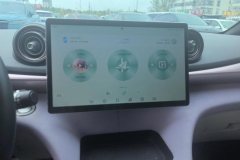 2024 BYD Dolphin 2025 520km knightEdition #13