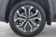 2024 Haval Big Dog Plus 2023 2.0T AT 2WDShionoEditionPlus #6