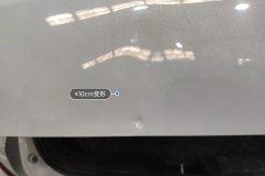 Trunk Lid