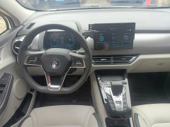 2021 BYD Yuan Pro 2021 want to love1bornEdition #7