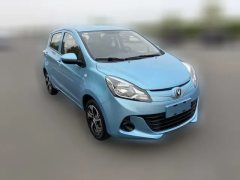2021 Chang'an Benben E-Star 2021 China civilEdition happyEdition NMC #3