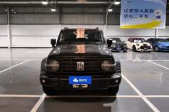 2021 Tank 300 2021 Off-road 2.0TAT conqueror #2