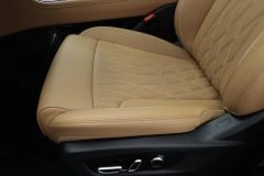 2026 GAC Trumpchi Trumpchi GS8 2024 PilotSeries 2.0TGDI AT 2WDLuxurySmart Connect #21