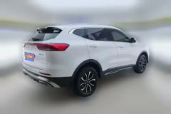 2023 Haval H6 2021 1.5T AT China tideUrbanEdition #3