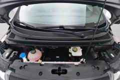 2022 BYD Dolphin 2021 405km Fashion #7