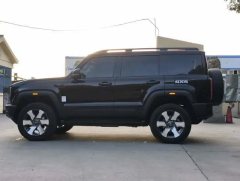 2025 Beijing Off-Road Beijing BJ40 Range Extender 2025 Standard #3