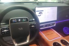 2024 Li Auto Li Auto L6 2024 pro #12