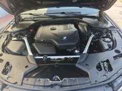2023 BMW 5 Series 2022 Facelift II 525Li Luxury Pkg #8