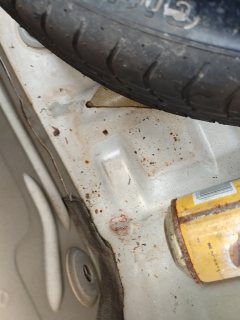 Spare Tire Well (Trunk Floor)