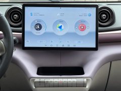 2022 BYD Dolphin 2021 405km Fashion #11