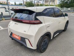2025 BYD Seagull 2024 Glory 305km vitalityEdition #9