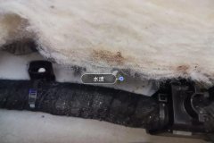 Left Rear Carpet