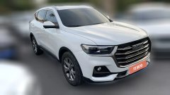 2021 Haval H6 2021 1.5T AT China tideChampion #3