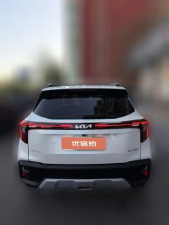 2024 Kia Seltos 2023 1.5L AT CVTLuxury #4