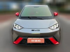 2024 BYD Seagull 2023 freeEdition #2