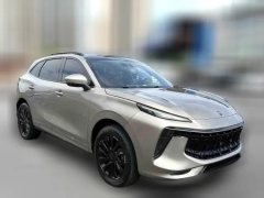 2022 Dongfeng Fengxing Fengxing T5 Evo 2021 1.5TD AT DCTPlatinum #3