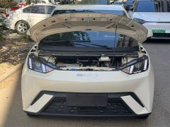 2024 BYD Seagull 2024 Glory 305KM freeEdition #9