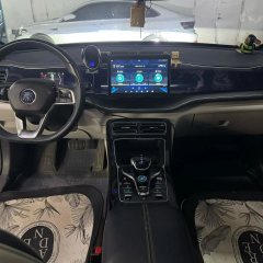 2022 BYD Qin Plus 2021 1.5 AT DM-i 120KM Premium #7