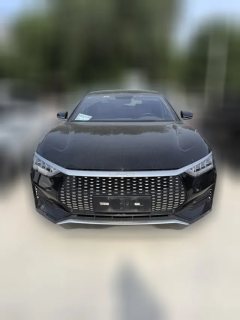 2024 BYD E9 2022 Business #2