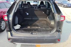 2023 Toyota Wildlander 2022 2.0 AT 4WDLuxuryPLUSEdition #4