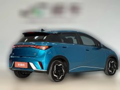 2022 BYD Dolphin 2021 405km Fashion #8