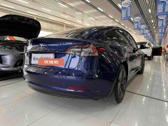 2020 Tesla Model 3 2020 Facelift StandardBattery lifeRWDUpgradeEdition EV #4