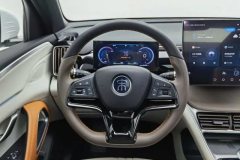 2022 BYD Song Pro PHEV 2022 DM-i 110km AT FlagshipPro #15