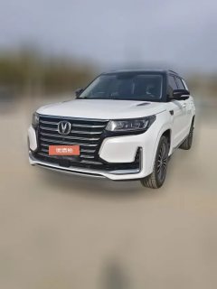 2019 Chang'an CS95 2019 2.0T AT Luxury FWD #1