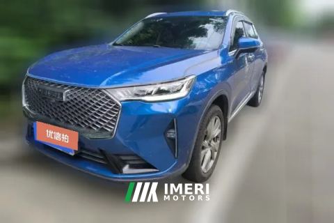 2020 Haval H6 2021 1.5T AT No.3generation2WDSupreme