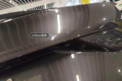 Trunk Lid