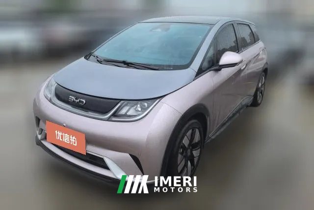 2024 BYD Dolphin 2025 520km knightEdition