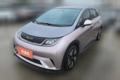 2024 BYD Dolphin 2025 520km knightEdition #1