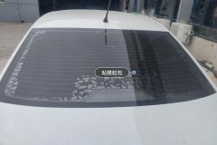 Rear Windshield