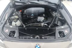2015 BMW 5 Series 2014 2.0T AT 520LiElegant #10