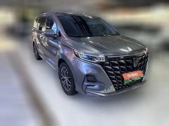 2023 Roewe iMAX8 EV 2022 silverEdition #3