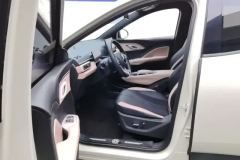2024 BYD Seagull 2025 305km freeEdition #9