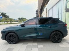 2021 Dongfeng Fengxing Fengxing T5 Evo 2021 1.5TD AT DCTStar #6