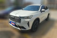 2021 Haval H6 2021 1.5T AT No.3generation2WDSupreme #1