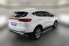 2022 Haval H6 2021 1.5T AT China tideChampion #3